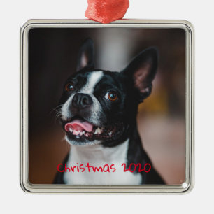 Ornement Carré Argenté Chien de compagnie familial pour les fêtes personn