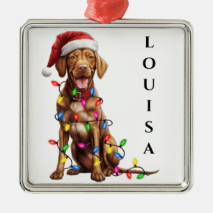 ORNEMENT CARRÉ ARGENTÉ CHIEN DE NOËL VIZSLA AVEC GUIRLANDE DE LUMIÈRES