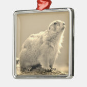 Ornement Carré Argenté Chien des Prairies à queue noire (Gauche)