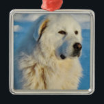 Ornement Carré Argenté Chien Gardien des Pyrénées Blanches<br><div class="desc">Blanc Grandes Pyrénées Bétail Gardien Chien Métal Ornement LGD</div>