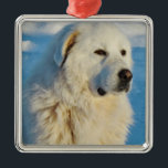 Ornement Carré Argenté Chien Gardien des Pyrénées Blanches<br><div class="desc">Blanc Grandes Pyrénées Bétail Gardien Chien Métal Ornement LGD</div>