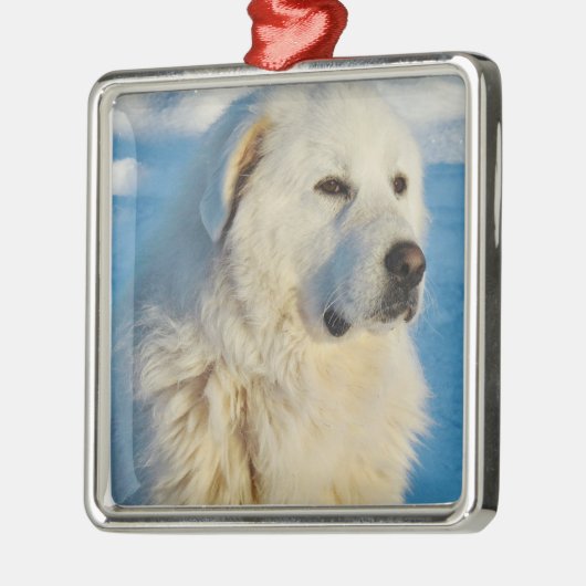 Ornement Carré Argenté Chien Gardien des Pyrénées Blanches (Gauche)