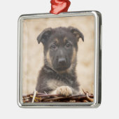 Ornement Carré Argenté Chiot Allemand En Panier (Gauche)