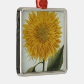 Ornement Carré Argenté Chrysanthème Indicum de 'Pythanthoza Iconograph (Droite)