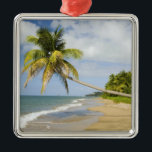 Ornement Carré Argenté Coconut Grove Beach à Cades Bay, avec St 2<br><div class="desc">Coconut Grove Beach à Cades Bay,  St Kitts à l'horizon � Greg Johnston / Danita Delimont.com</div>