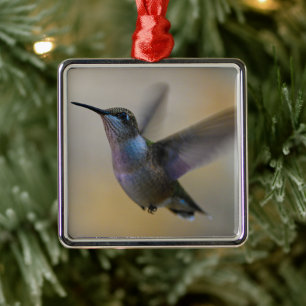 Ornement Carré Argenté Colibri dans l'effervescence