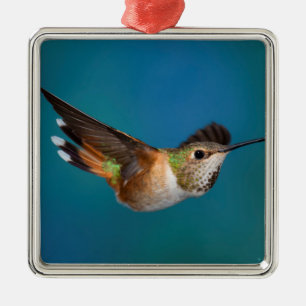 Ornement Carré Argenté Colibri Rufous