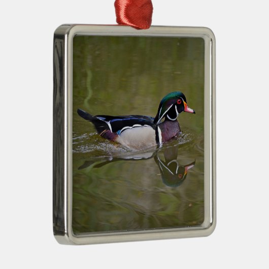 Ornement Carré Argenté Colorful wood duck (Droite)