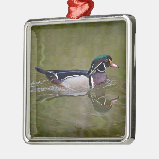 Ornement Carré Argenté Colorful wood duck (Gauche)