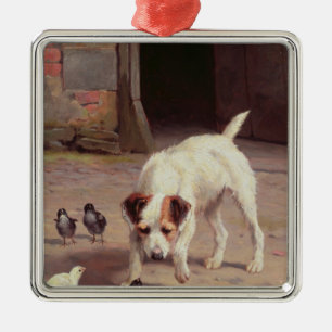 Ornement Carré Argenté Confrontation