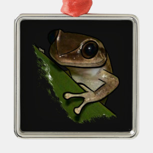 Ornement Carré Argenté Coqui Porto Rico