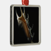 Ornement Carré Argenté Coquille de conque (Droite)