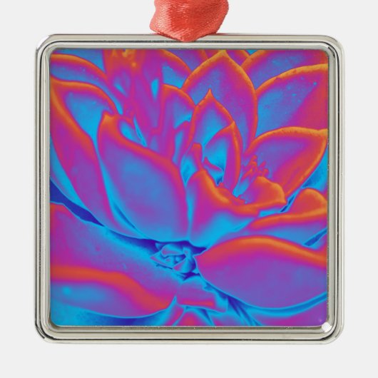 Ornement Carré Argenté Couleur arc-en-ciel plante Succulent (Devant)