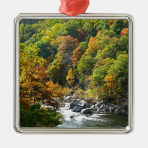 Ornement Carré Argenté Couleurs d'automne au parc d'État Ohiopyle