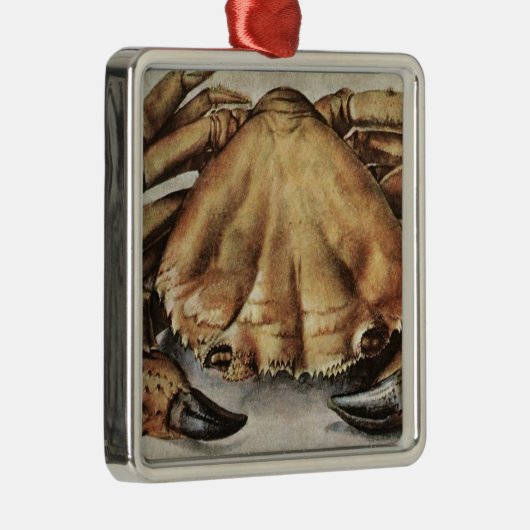 Ornement Carré Argenté Crabe (Créature sous la mer) (par Albrecht Durer) (Droite)