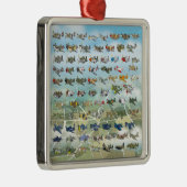 Ornement Carré Argenté créer votre propre caricature d'avion (Droite)