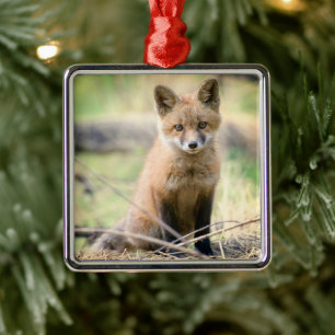 Ornement Carré Argenté Cutest Baby Animals Baby Fox