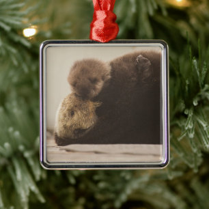 Ornement Carré Argenté Cutest Baby Animals Newborn Otter Pup