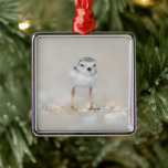 Ornement Carré Argenté Cutest Baby Animals | Piping Plover Chick<br><div class="desc">This cute Getty Images photo features a one day old,  Piping Plover chick standing on the sand on the beach Long Island,  New York.</div>