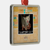 Ornement Carré Argenté Dangereux (Droite)