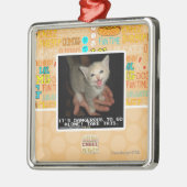 Ornement Carré Argenté Dangereux (Gauche)