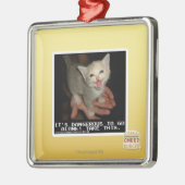 Ornement Carré Argenté Dangereux (Gauche)