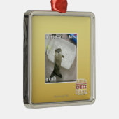 Ornement Carré Argenté Dans là ? Est Kold ! (Droite)