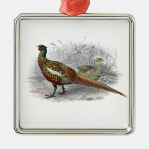 Ornement Carré Argenté Dessin coloré d'un faisan de chasse vintage #2