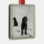 Ornement Carré Argenté Deux chiots portugais de chien d'eau dans une (Droite)