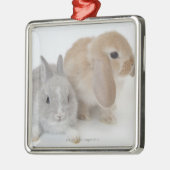 Ornement Carré Argenté Deux lapins. Nain et la Hollande Lop. de (Gauche)