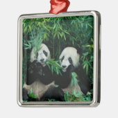 Ornement Carré Argenté Deux pandas mangeant du bambou ensemble, Wolong (Gauche)
