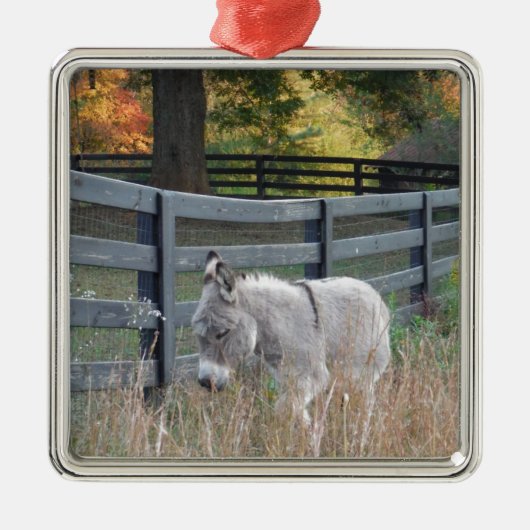 Ornement Carré Argenté Donkey dans un champ d'automne (Devant)