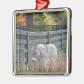 Ornement Carré Argenté Donkey dans un champ d'automne (Gauche)
