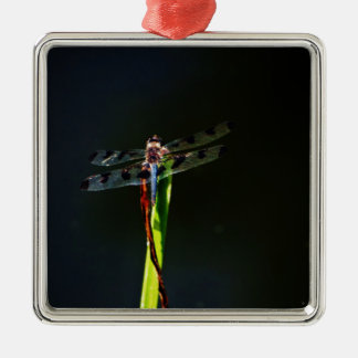 Ornement Carré Argenté Dragonfly bleu et noir sur gazon vert et rouge