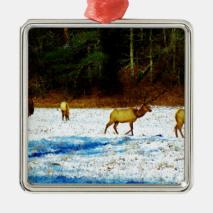 ORNEMENT CARRÉ ARGENTÉ DSC00131.JPG