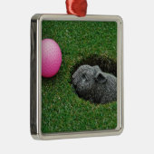 ORNEMENT CARRÉ ARGENTÉ DSCF0652.JPG (Droite)