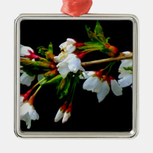 Ornement Carré Argenté Élégant noir blanc fleuri blanc Blossom