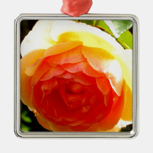 Ornement Carré Argenté Elégante pêche jaune rose floral d'abricot rouge