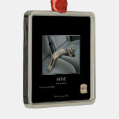 Ornement Carré Argenté Épine (Droite)