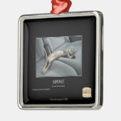 Ornement Carré Argenté Épine (Gauche)