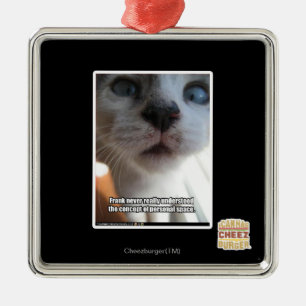 Ornement Carré Argenté Espace personnel