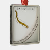 Ornement Carré Argenté Espèces : Sangsue de poissons (Droite)