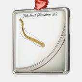 Ornement Carré Argenté Espèces : Sangsue de poissons (Gauche)