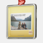 Ornement Carré Argenté Est-ce que quelqu'un a dit le cheeze ? (Gauche)