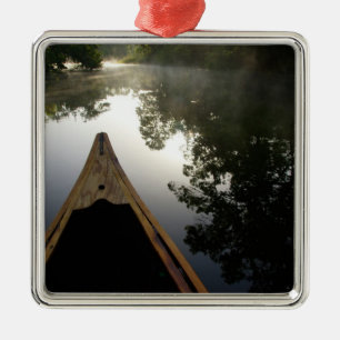 Ornement Carré Argenté États-Unis, Floride, forêt nationale d'Ocala, Alex