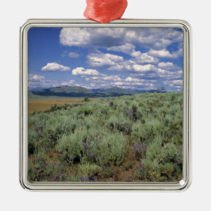 Ornement Carré Argenté États-Unis, Idaho, Comté de Camas Artemisia et lup