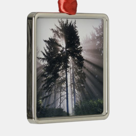 Ornement Carré Argenté États-Unis, Washington, Olympic National Park, le (Droite)