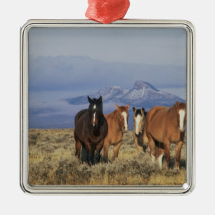 Ornement Carré Argenté États-Unis, Wyoming, près du groupe de chevaux de