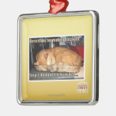 Ornement Carré Argenté Fabrication du lasagne (Gauche)