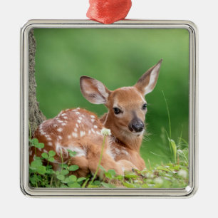 Ornement Carré Argenté Faon adorable allongé sous un arbre